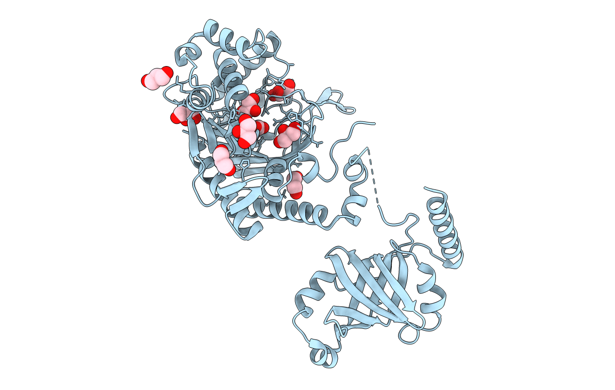 1E1O image