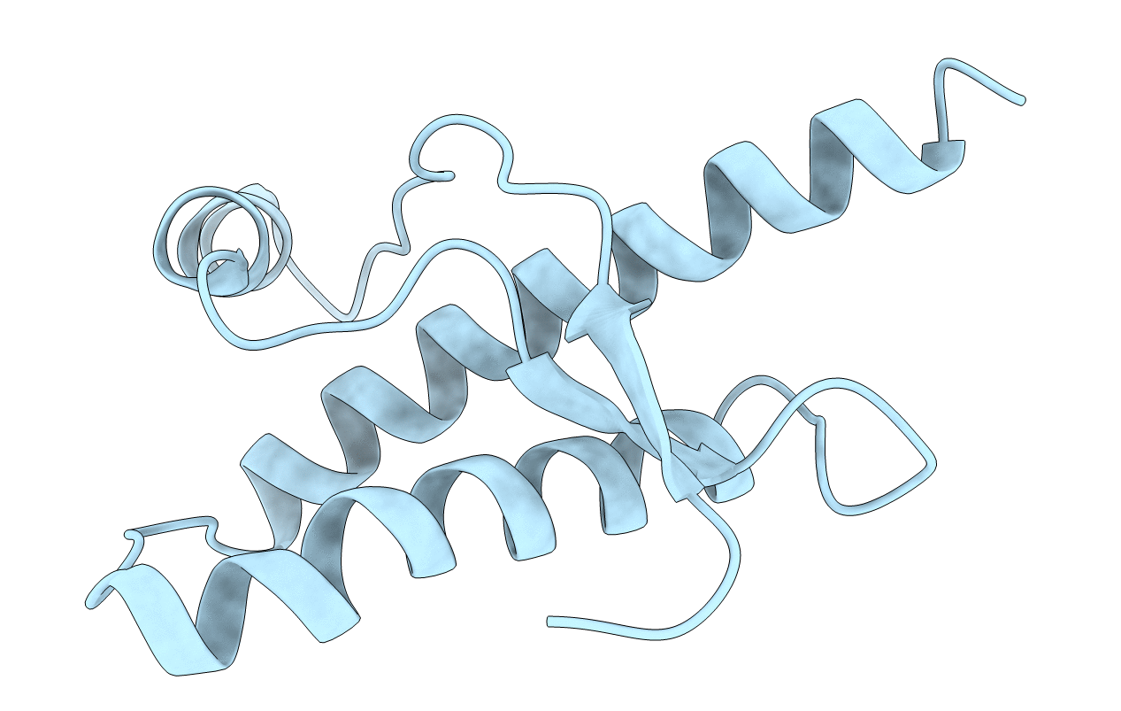 1E1S image