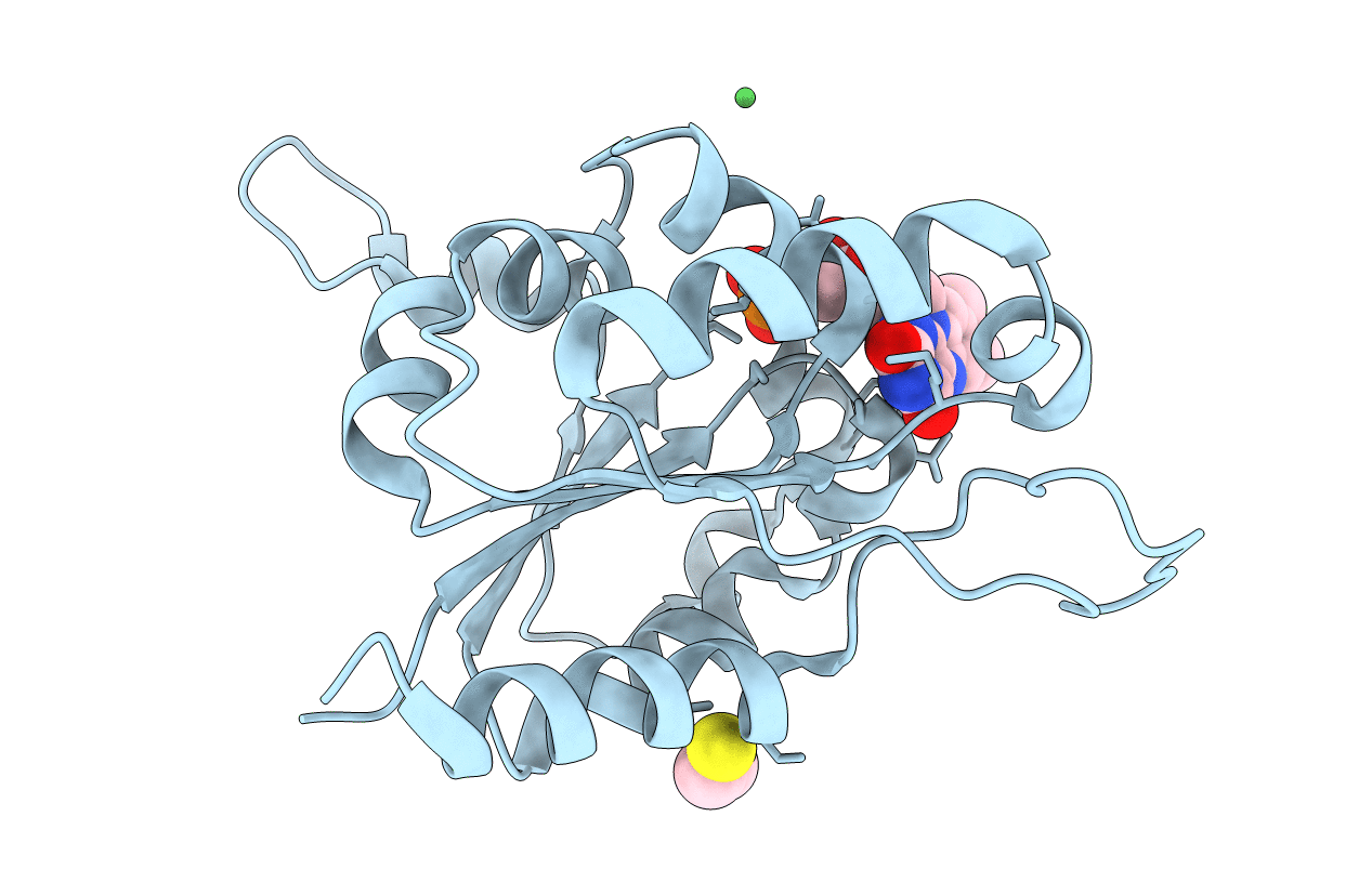 1E20 image