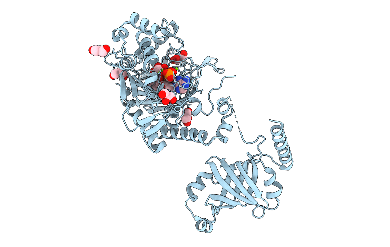 1E22 image