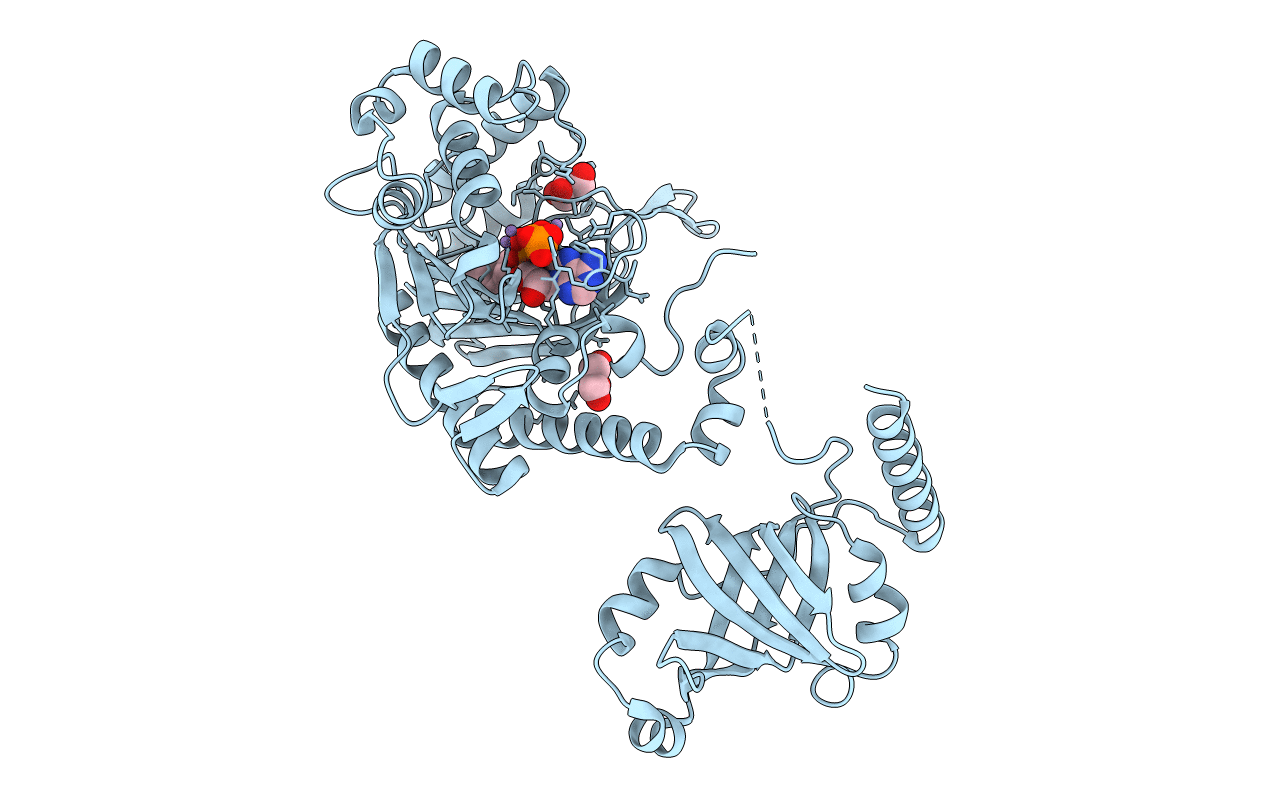 1E24 image