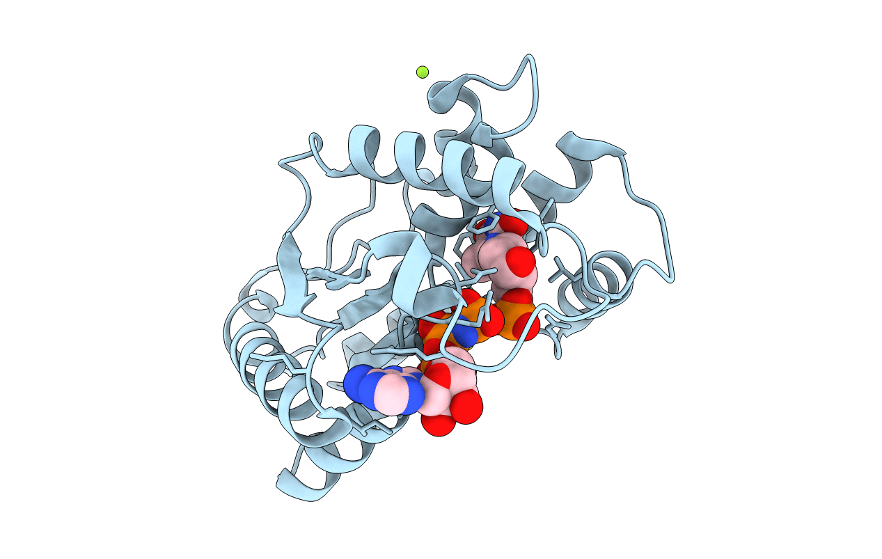 1E2F image