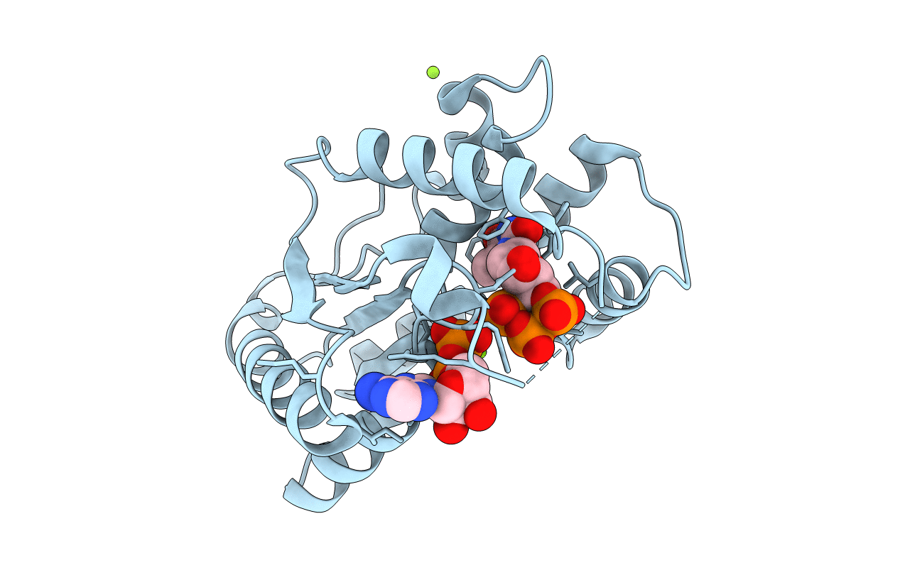 1E2G image