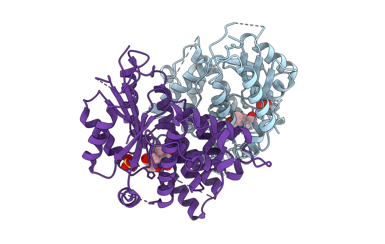 1E2P image