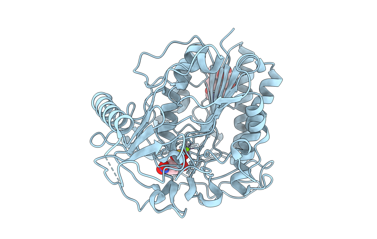 1E2S image
