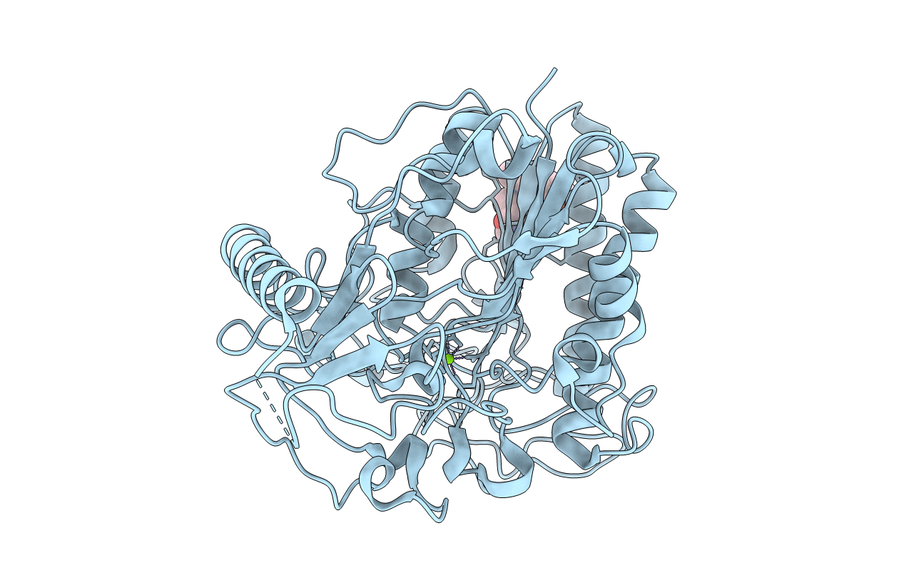 1E33 image