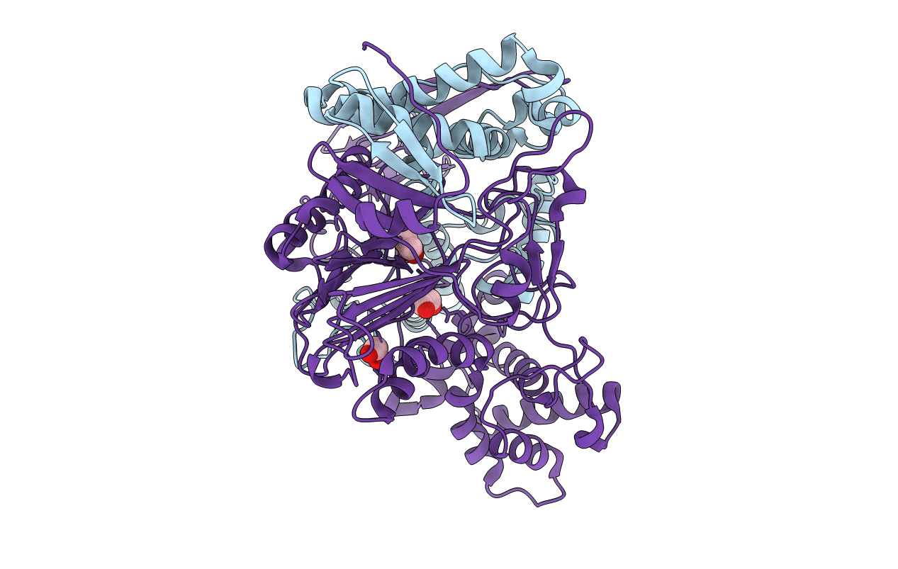 1E3A image