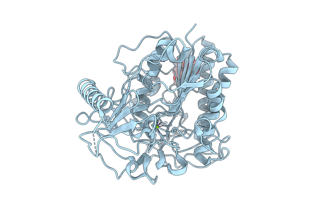 1E3C image