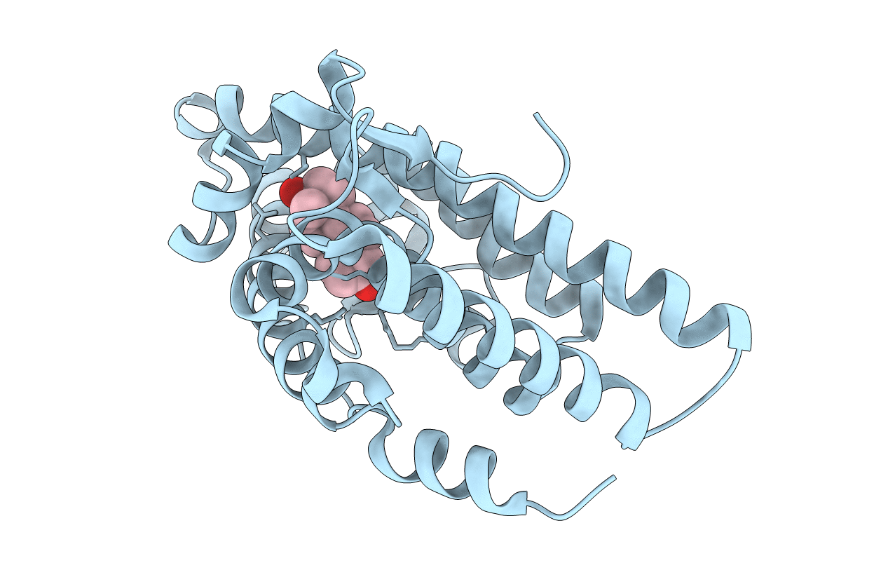 1E3G image