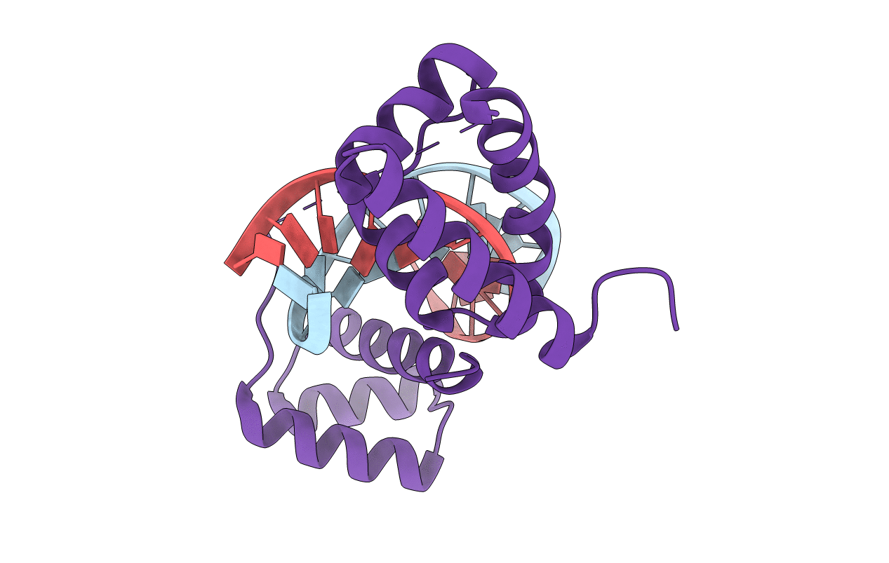 1E3O image