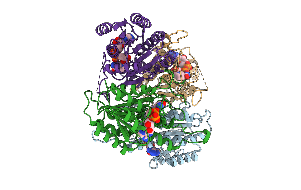 1E3S image