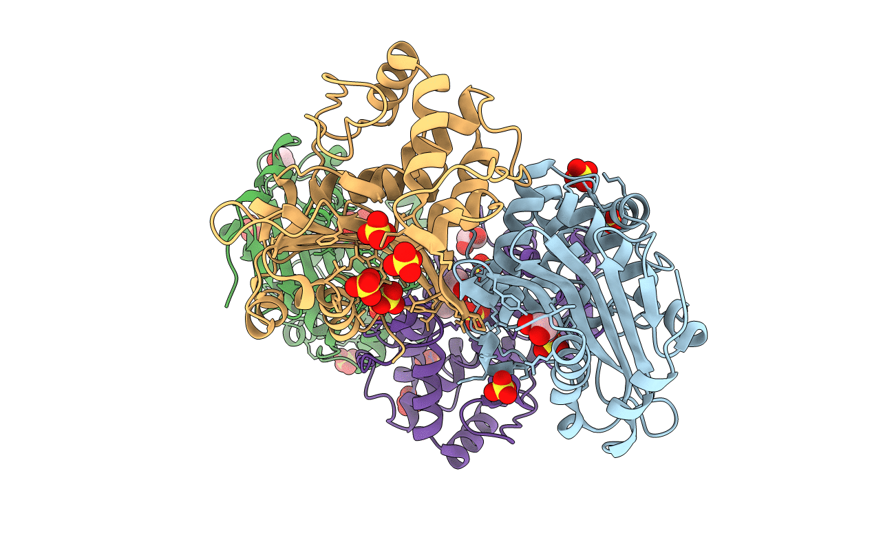 1E4D image