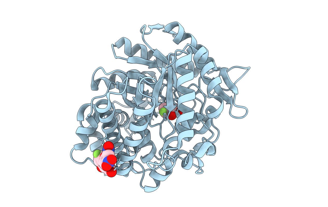 1E4I image