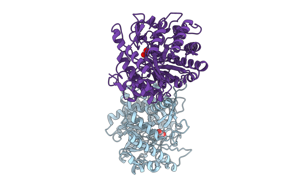 1E4L image