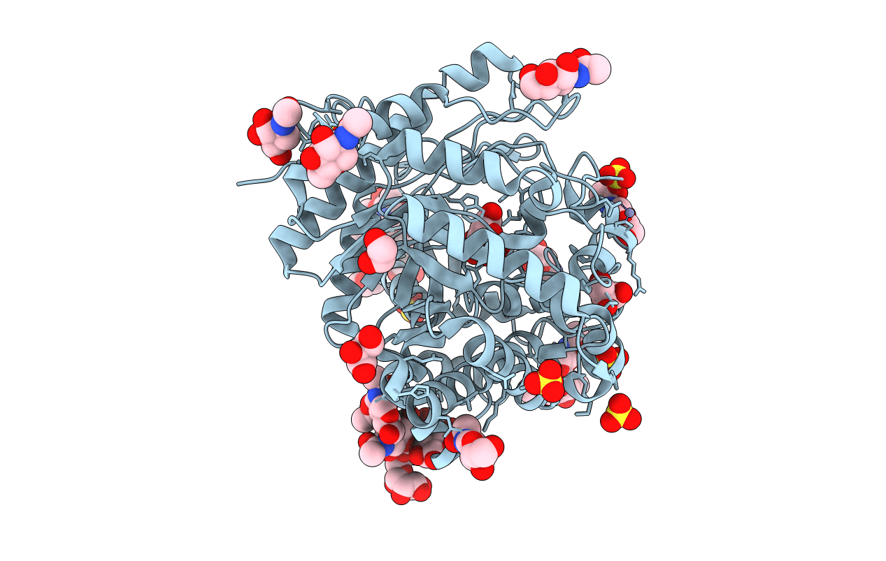 1E4M image