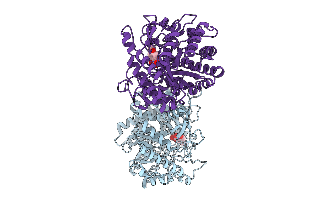1E4N image