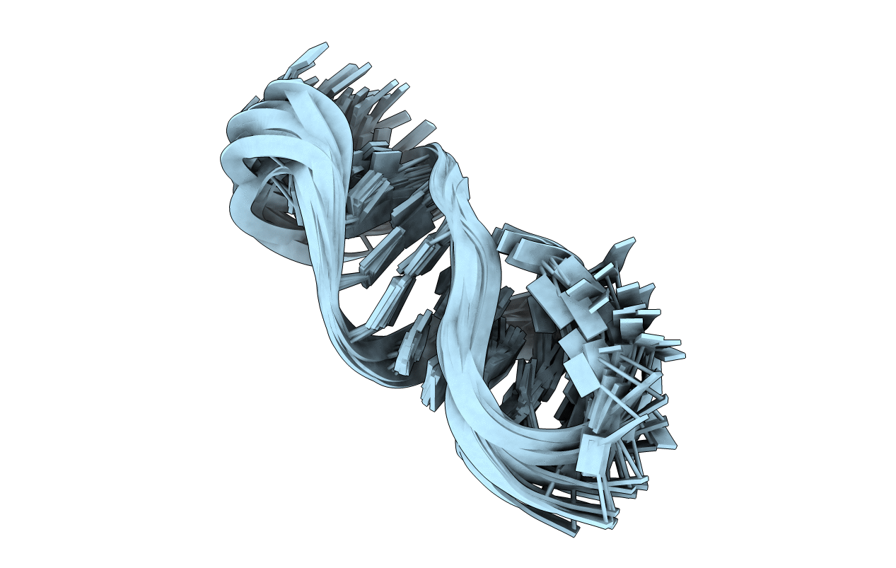 1E4P image