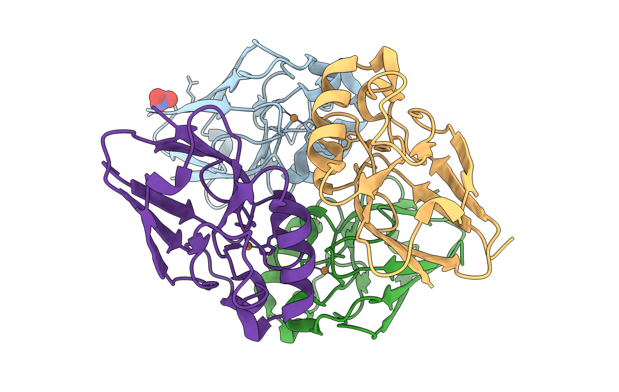 1E5Z image