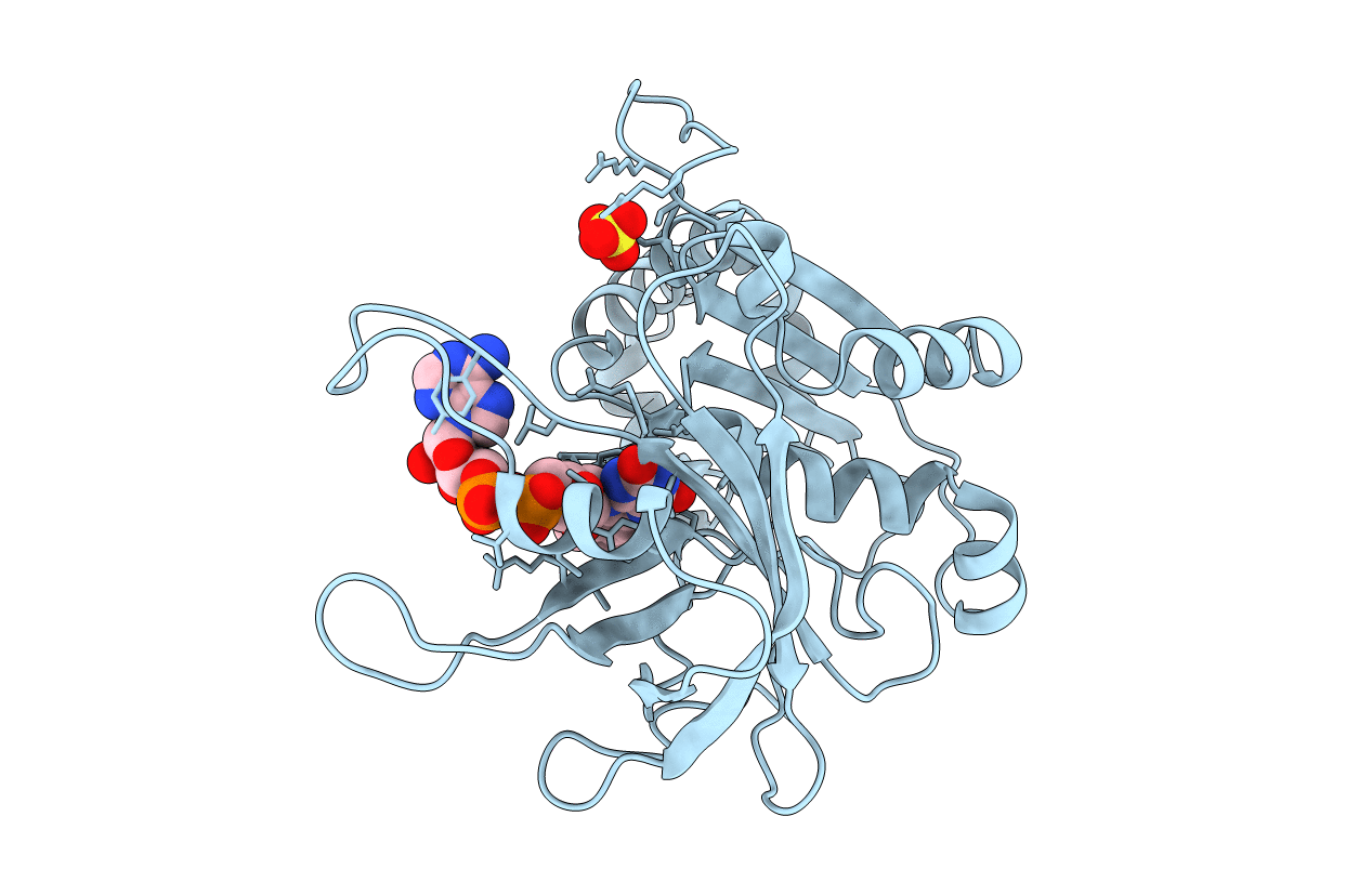 1E62 image