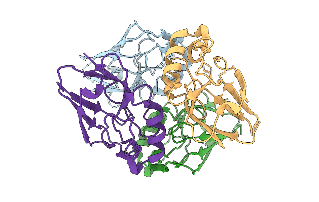 1E65 image