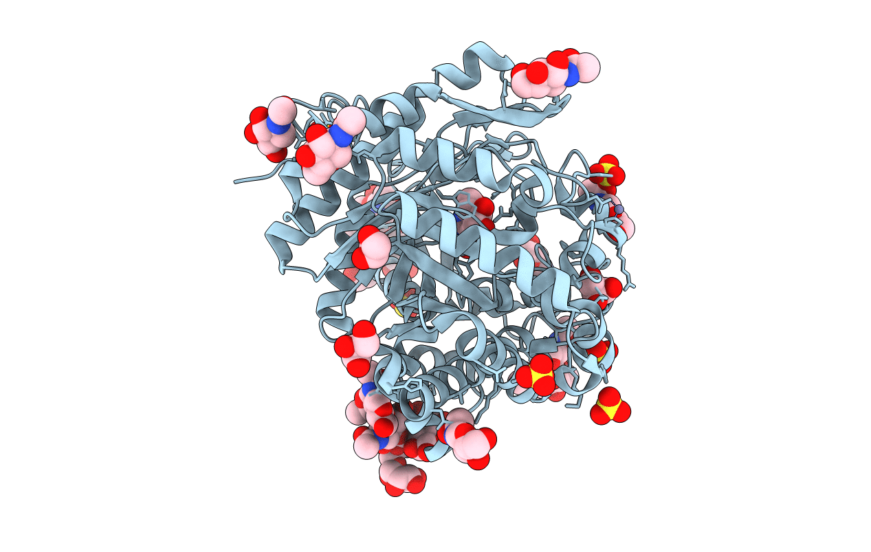 1E6S image