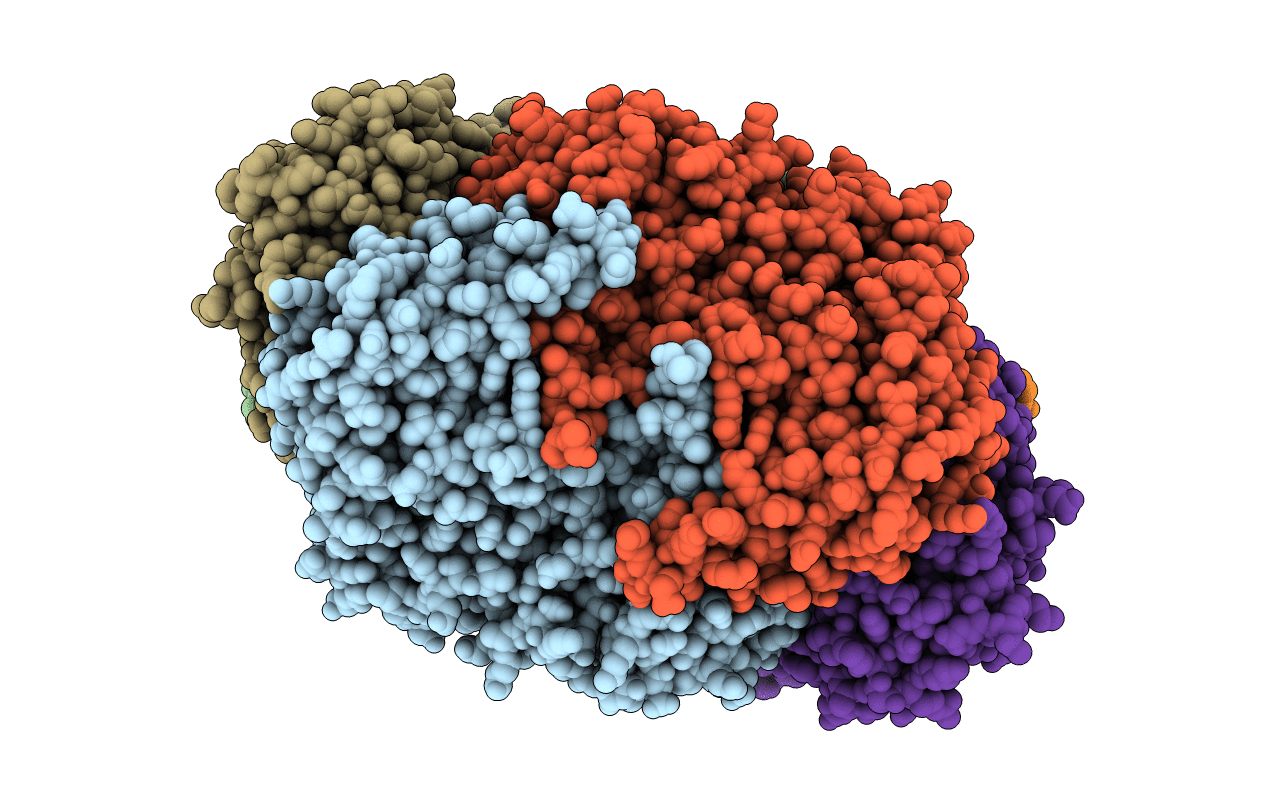 1E6Y image