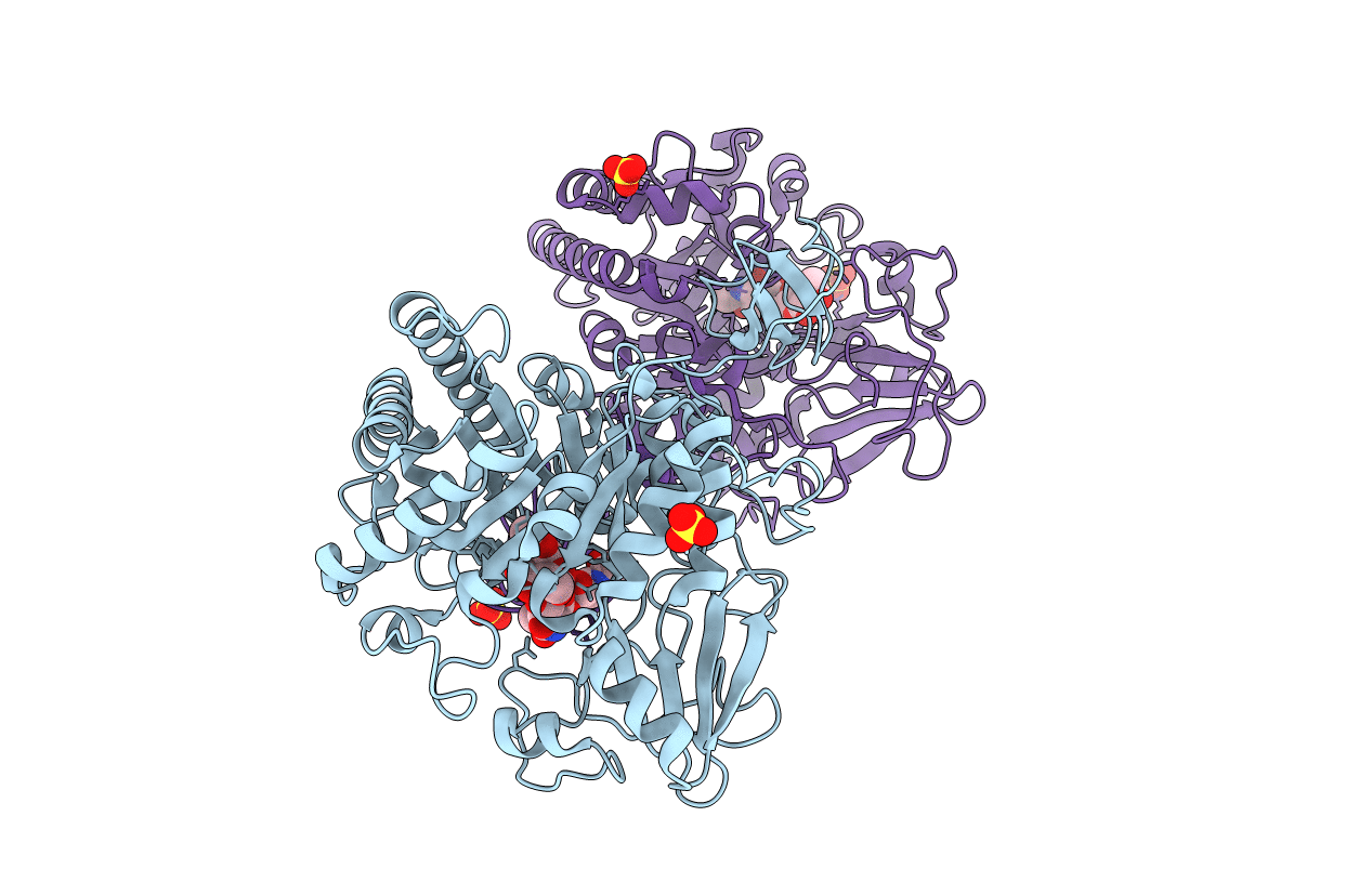 1E6Z image