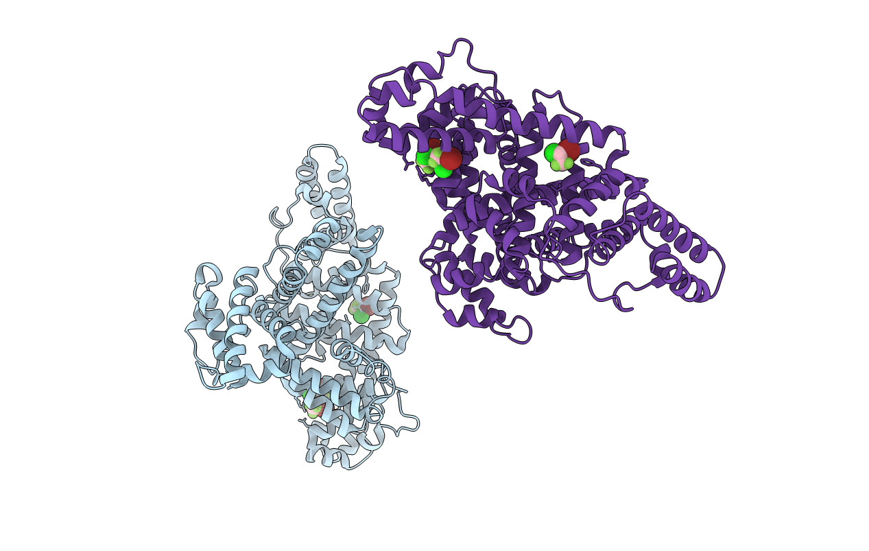 1E7B image