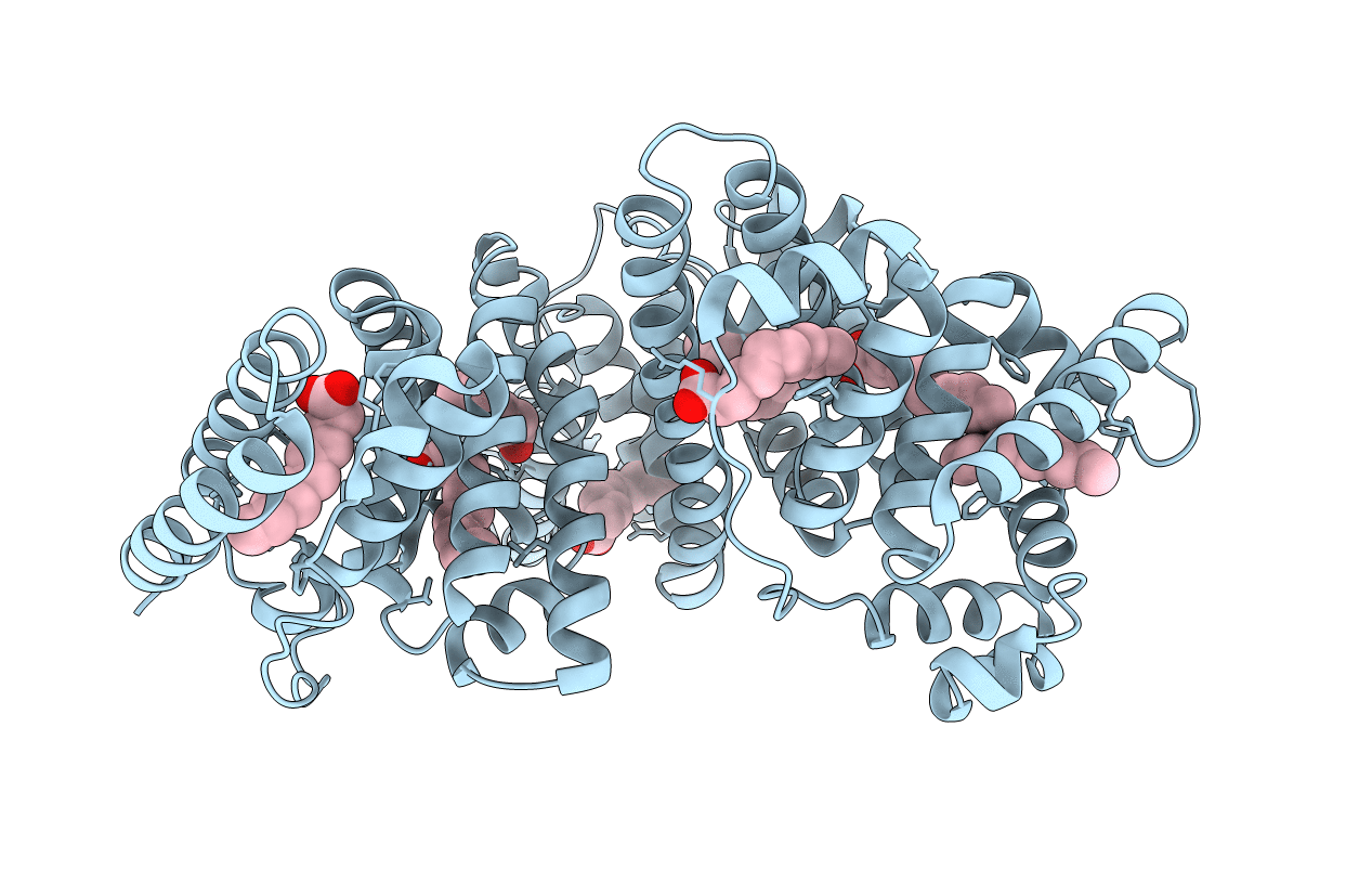 1E7F image