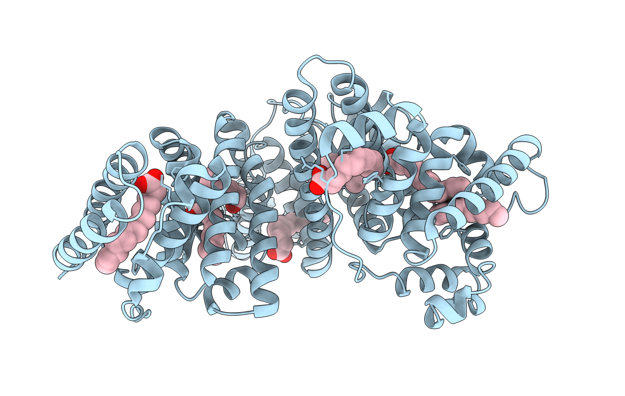 1E7G image