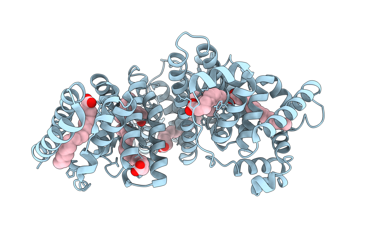 1E7I image