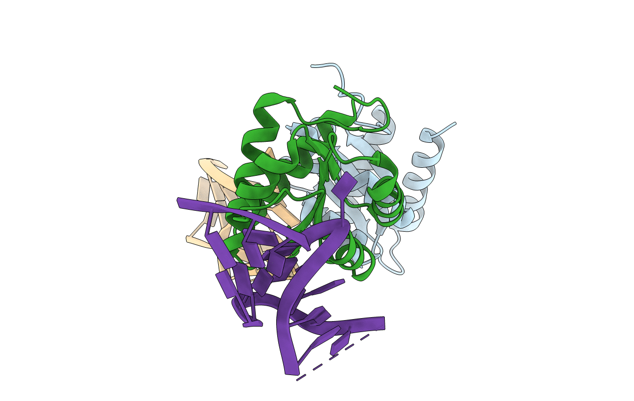 1E7K image