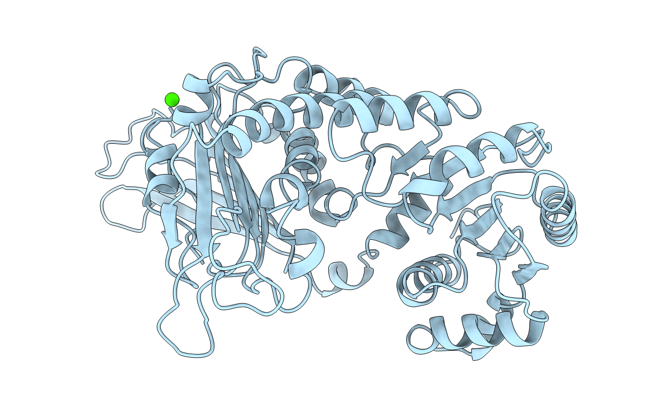1E7M image