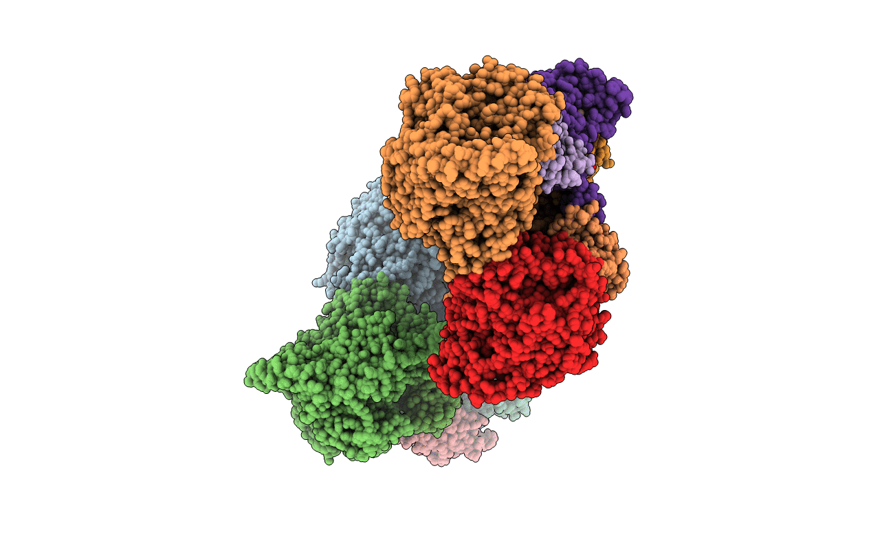 1E7P image