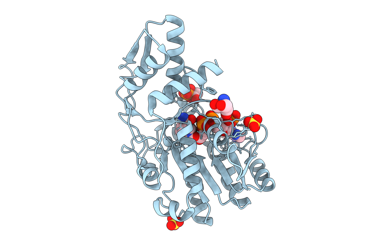 1E7R image