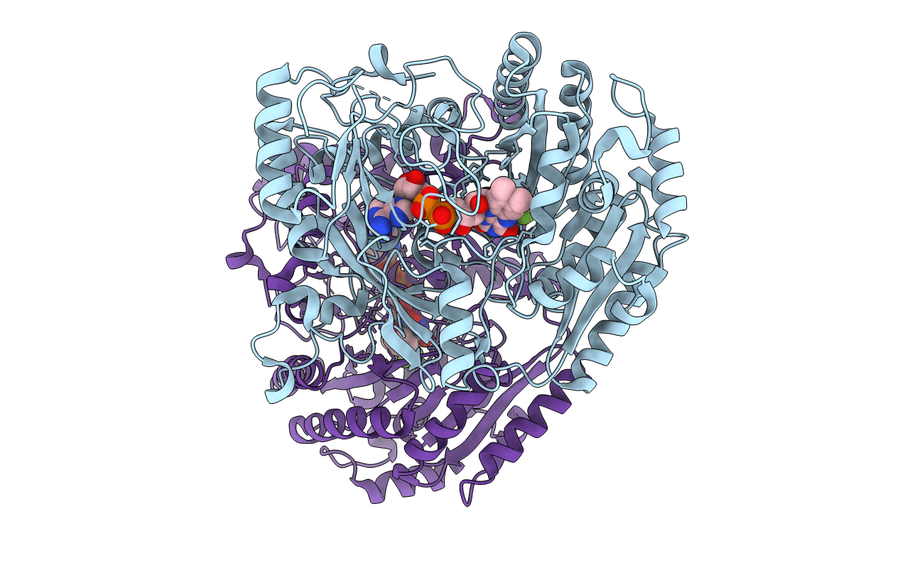 1E8G image