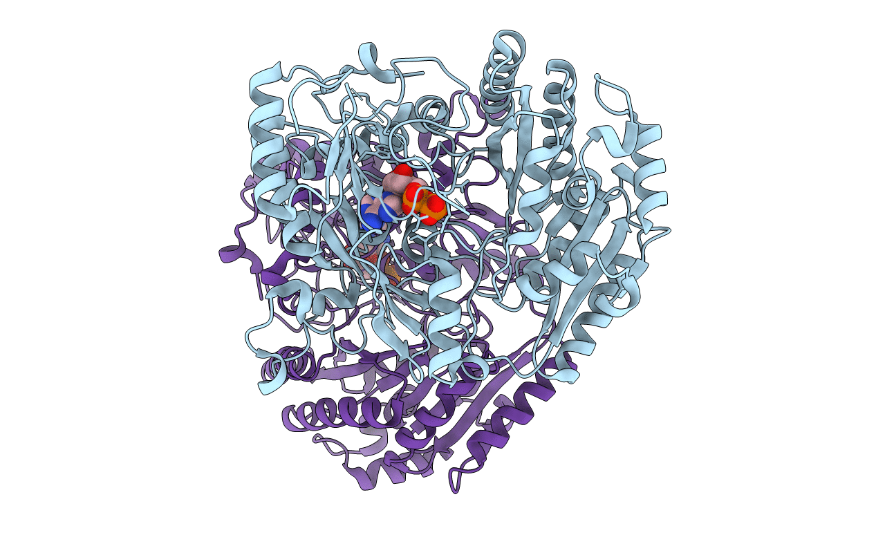 1E8H image