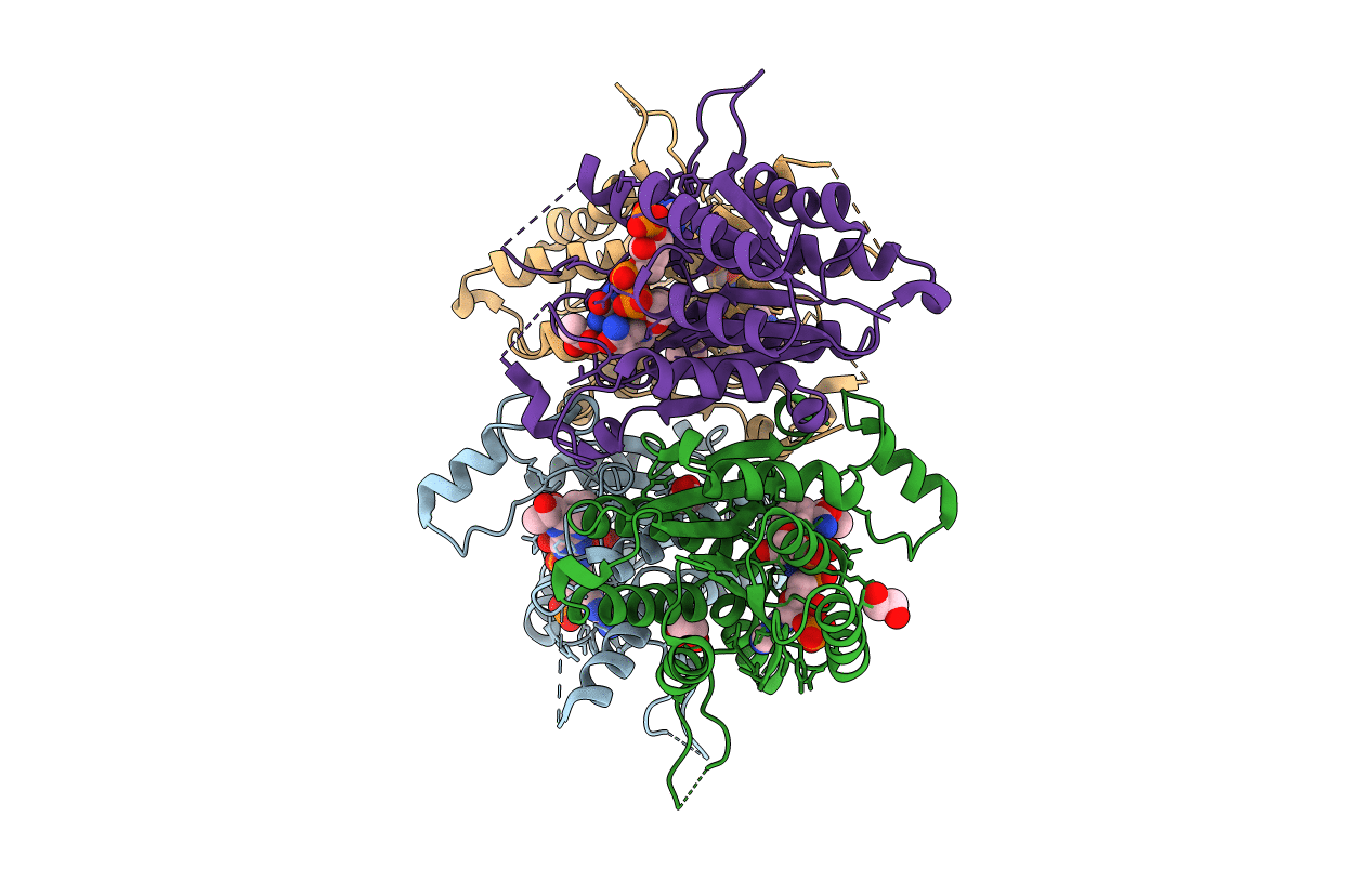 1E92 image