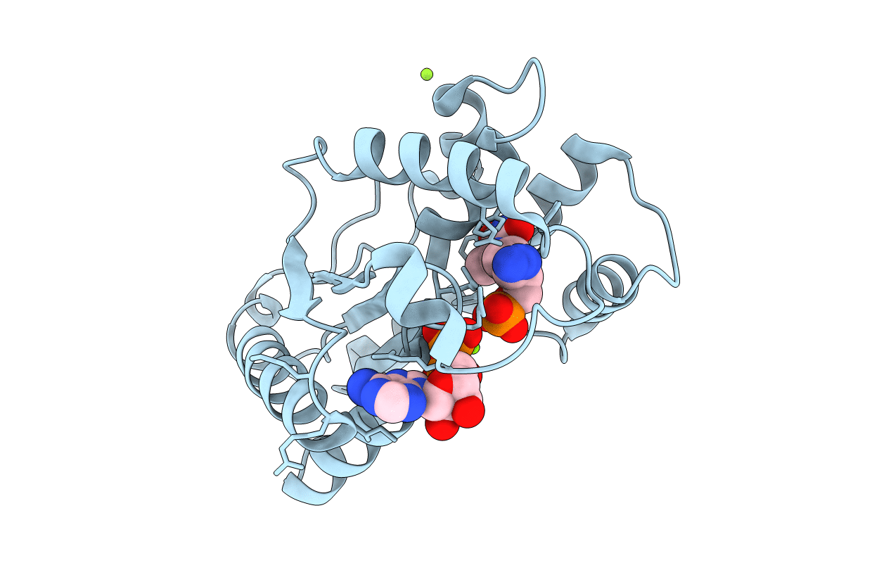 1E98 image