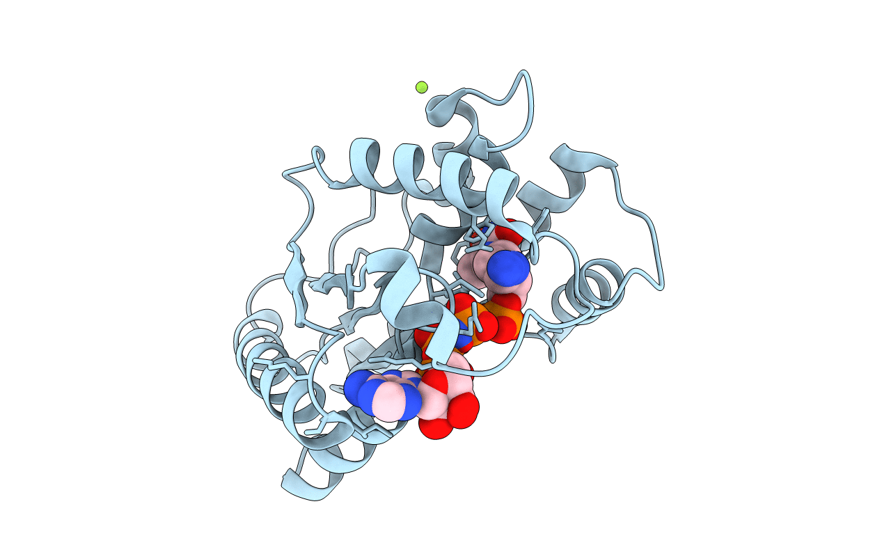 1E9B image
