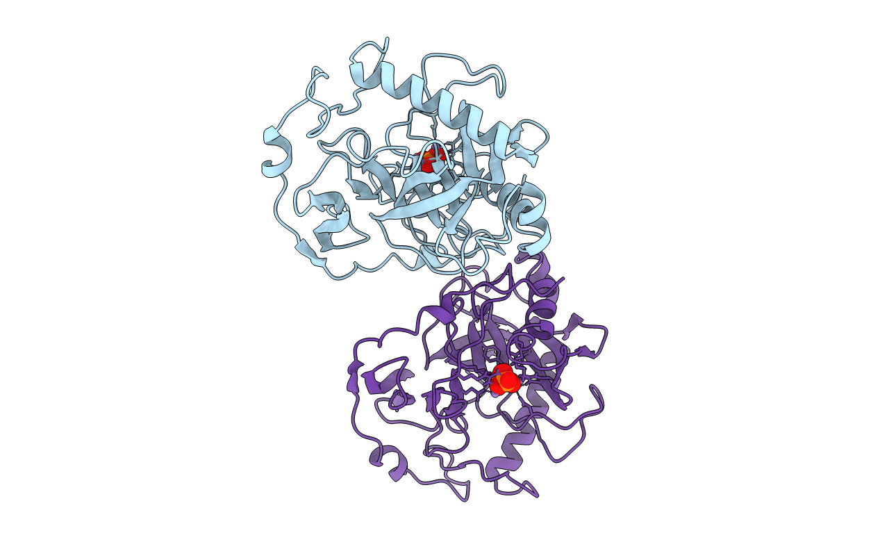 1E9G image
