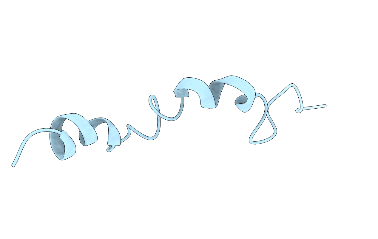 1E9K image