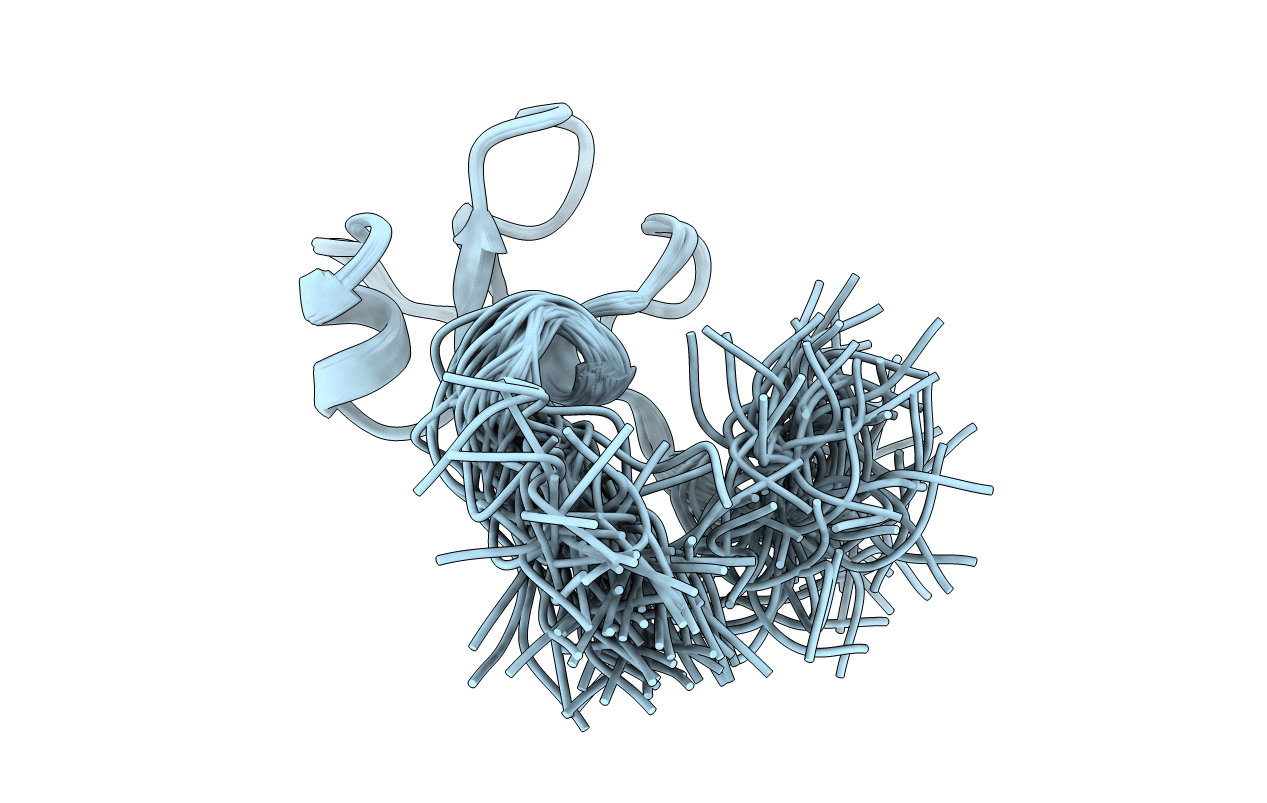 1E9T image