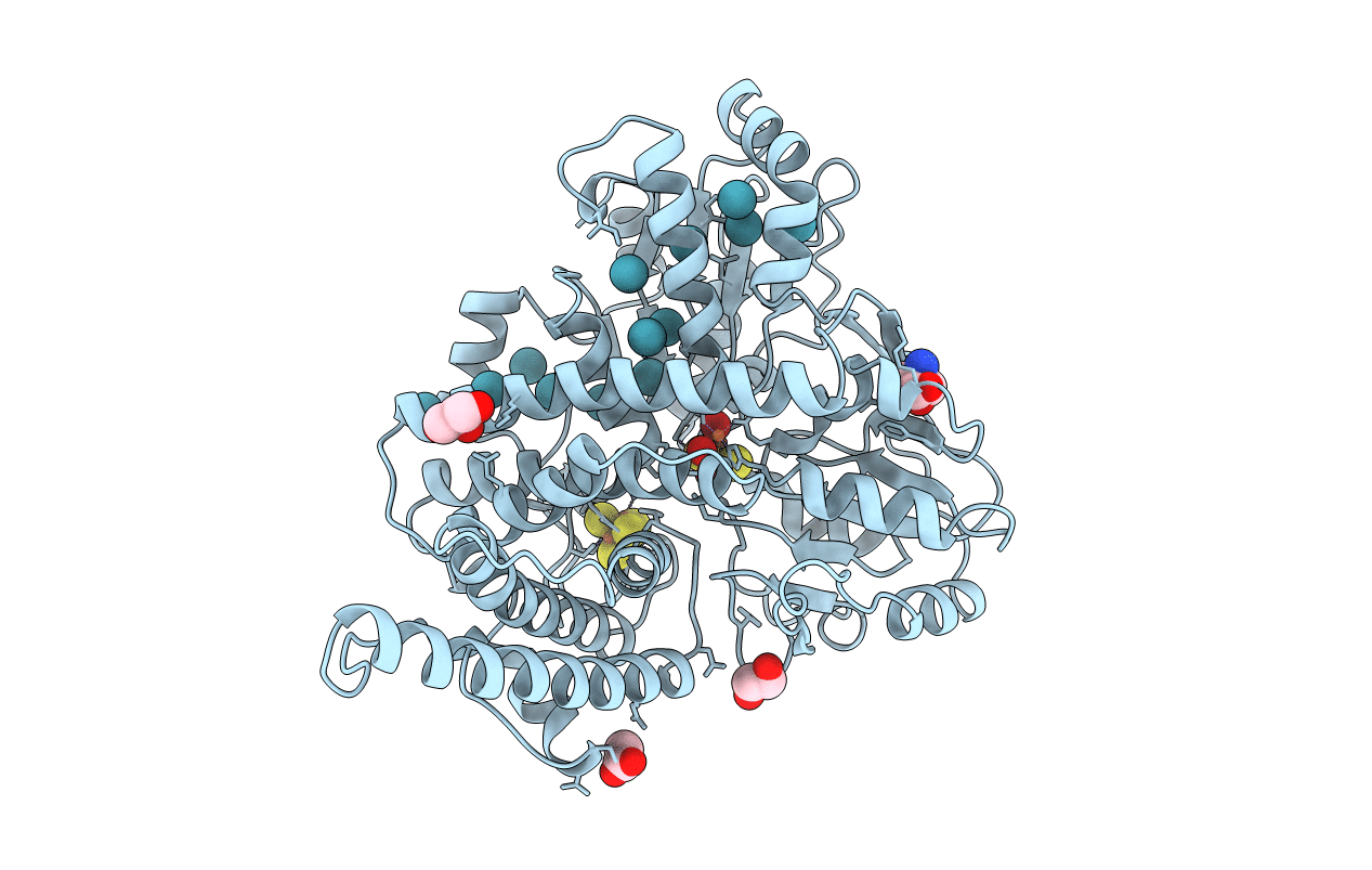 1E9V image