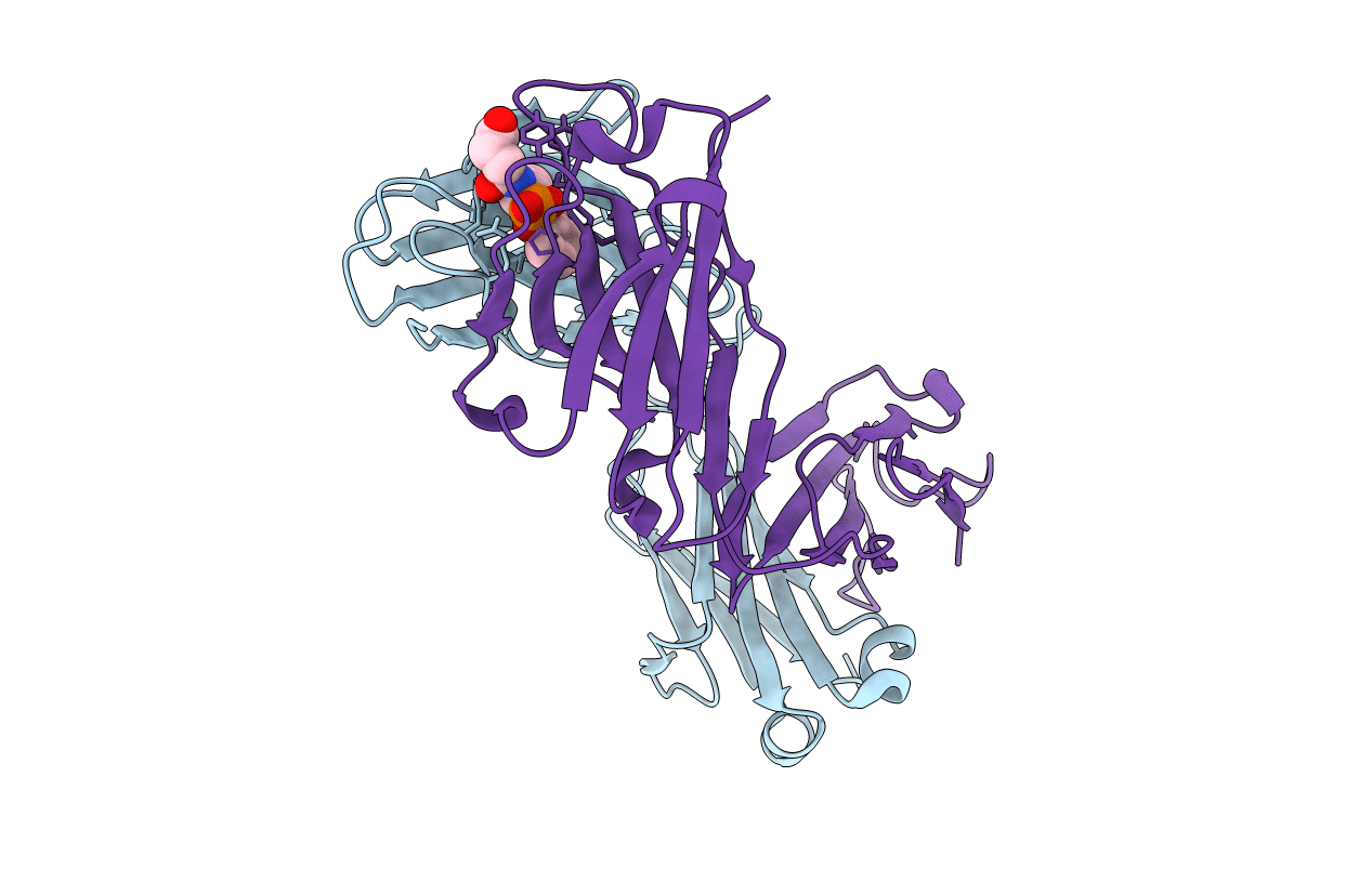 1EAP image