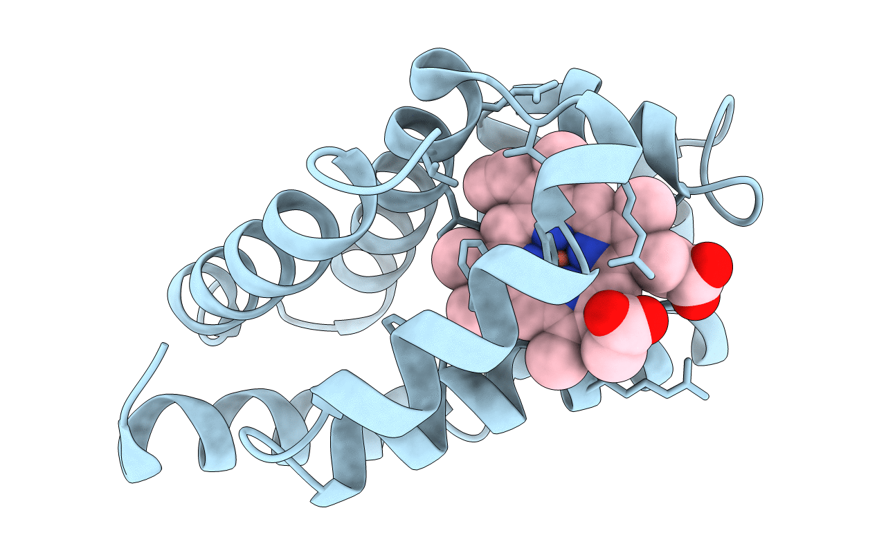 1ECD image