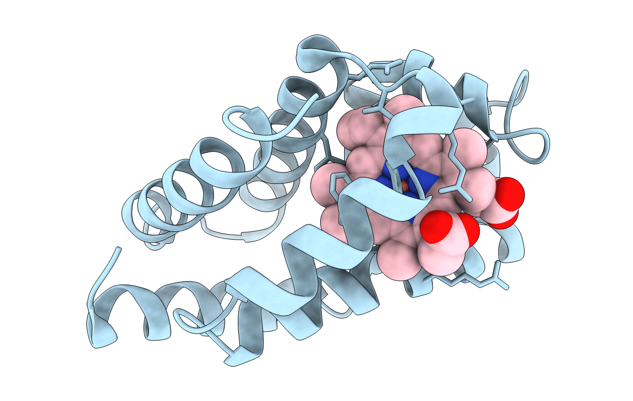 1ECN image