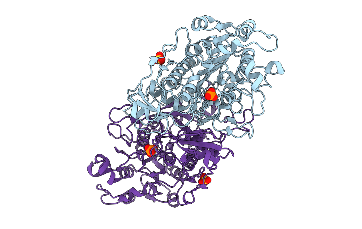 1ED8 image