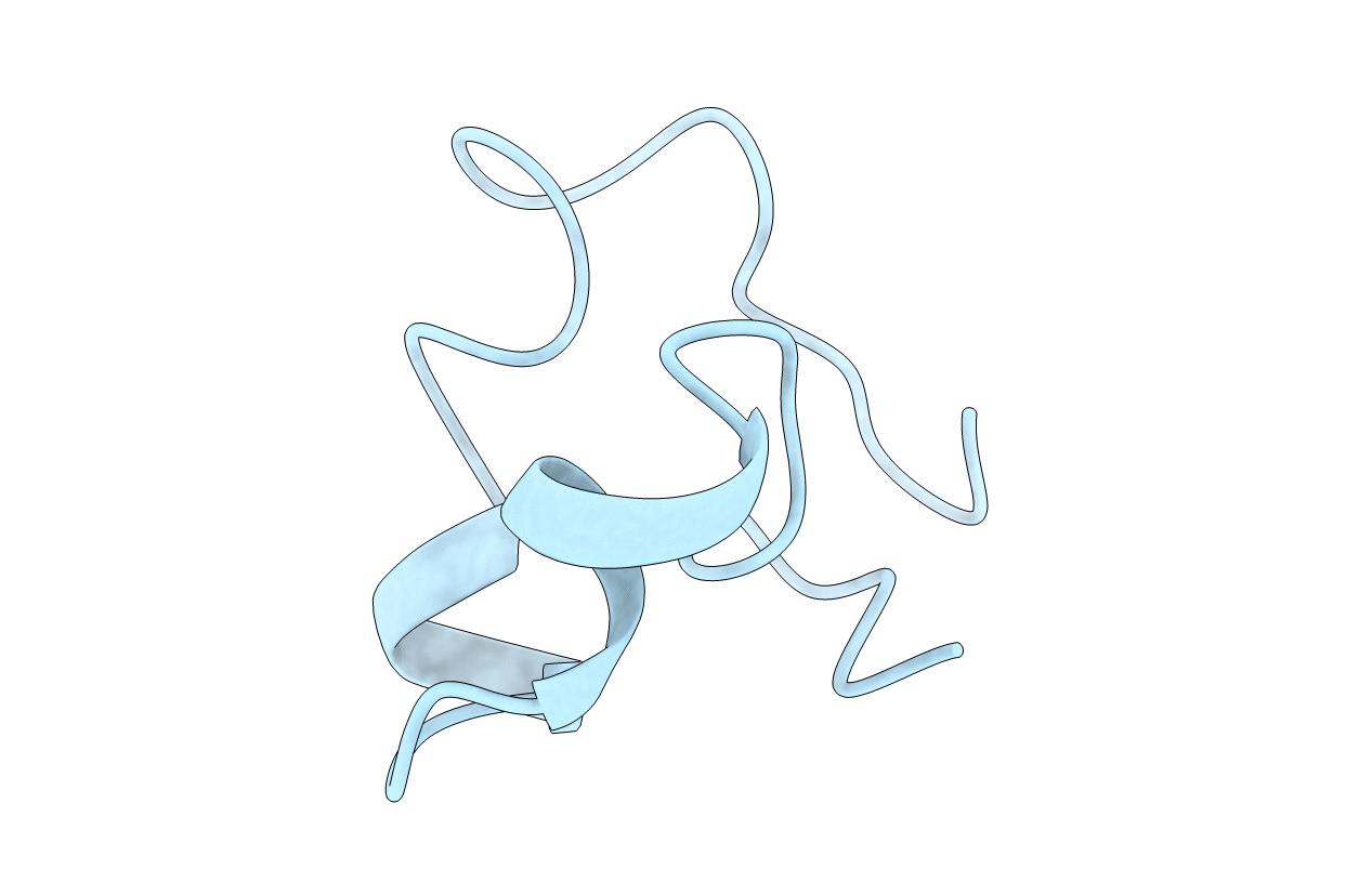 1EDX image
