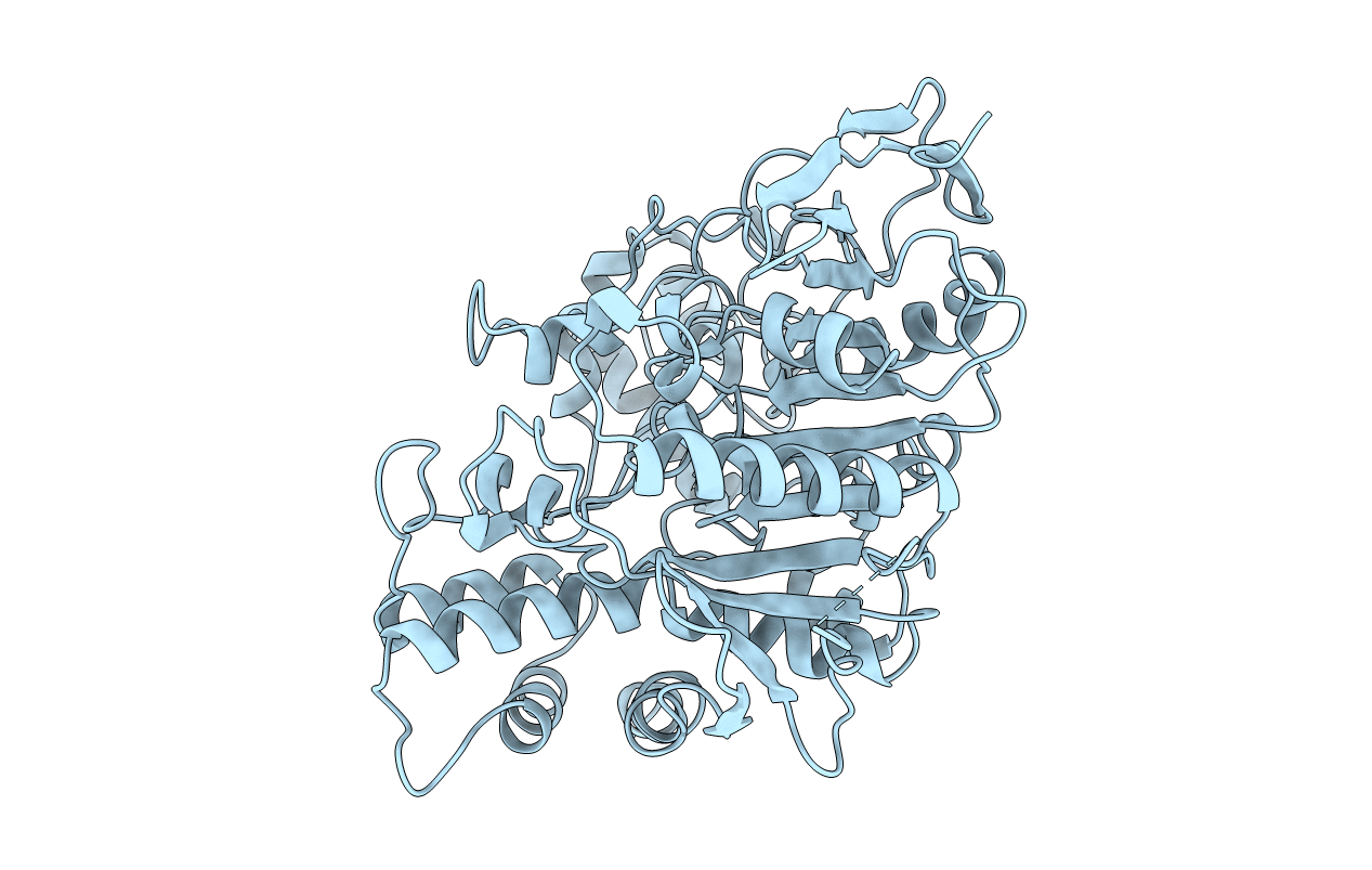 1EEA image